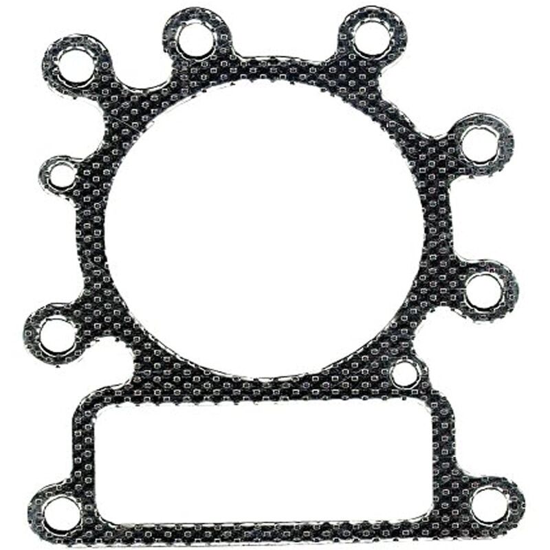 foto del prodotto greenstar 22836 7376 e pensione per briggs stratton