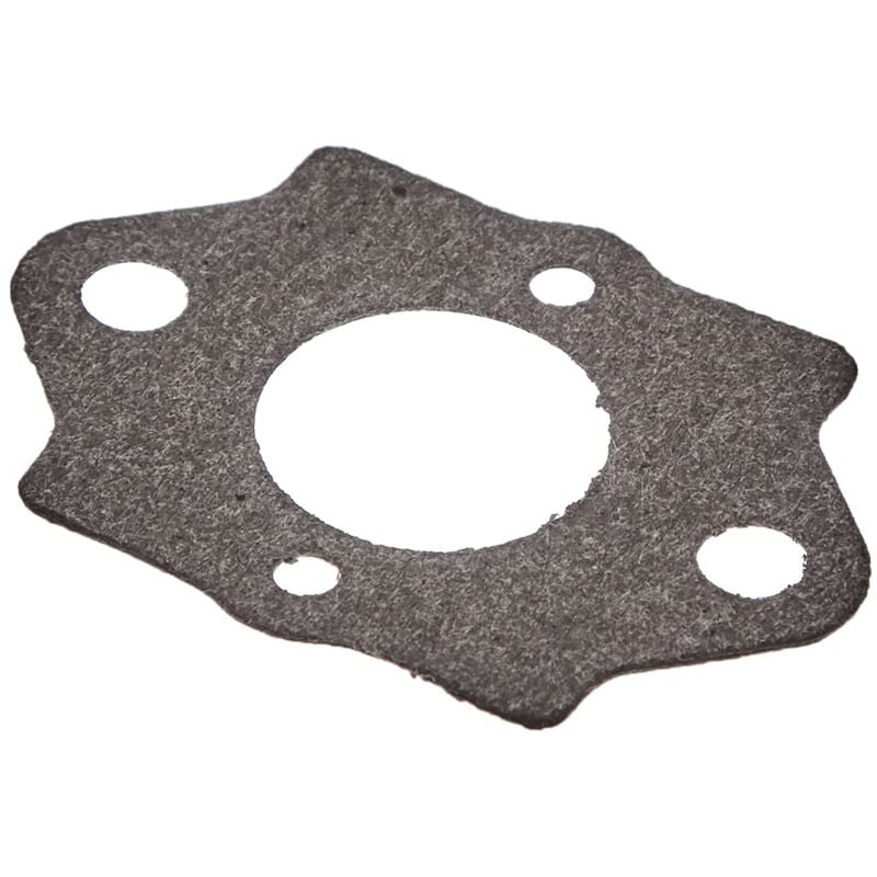 foto del prodotto greenstar 22865 all ingresso del carburatore walbro congiunta