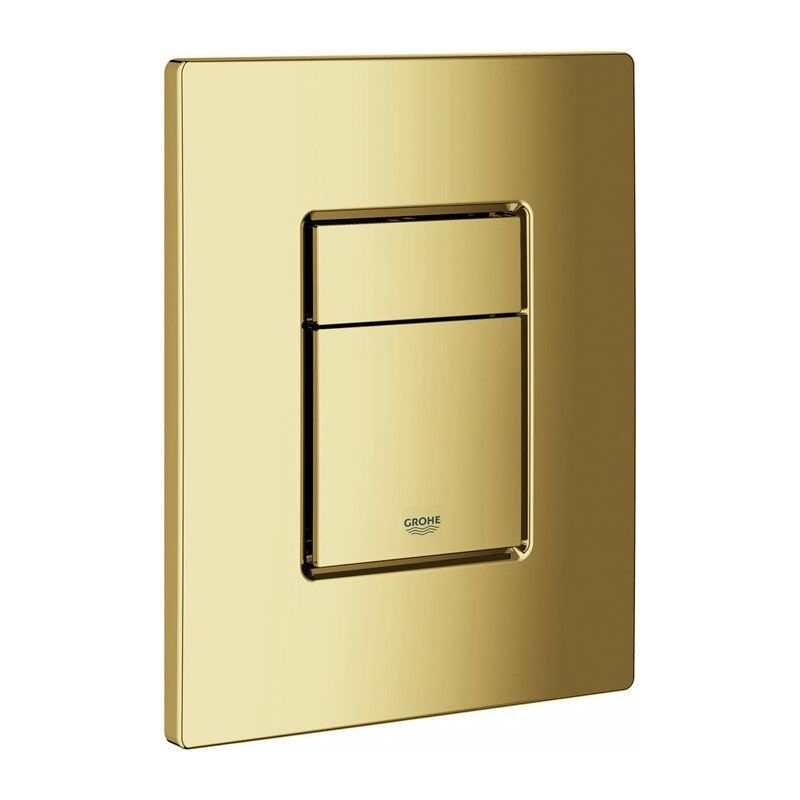 foto del prodotto grohe skate cosmopolitan control plate wc