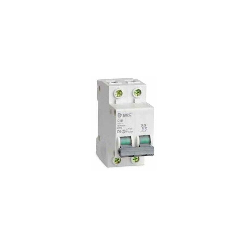 foto del prodotto gsc interruttore automatico 2p 63a 0403662