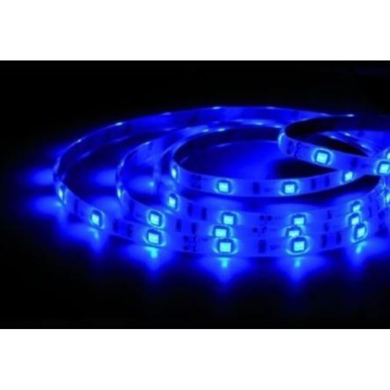 foto del prodotto gsc - rotolo 5m led smd2835 (6w) blu ip20 24v in blister 204030005