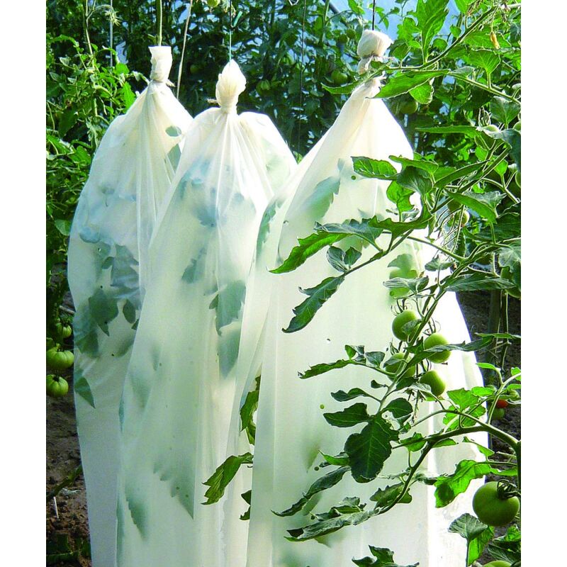 foto del prodotto guaina per la crescita dei pomodori bio 0,6 x 8 m, facile da usare, protegge e favorisce la germinazione e la crescita dei giovani germogli di