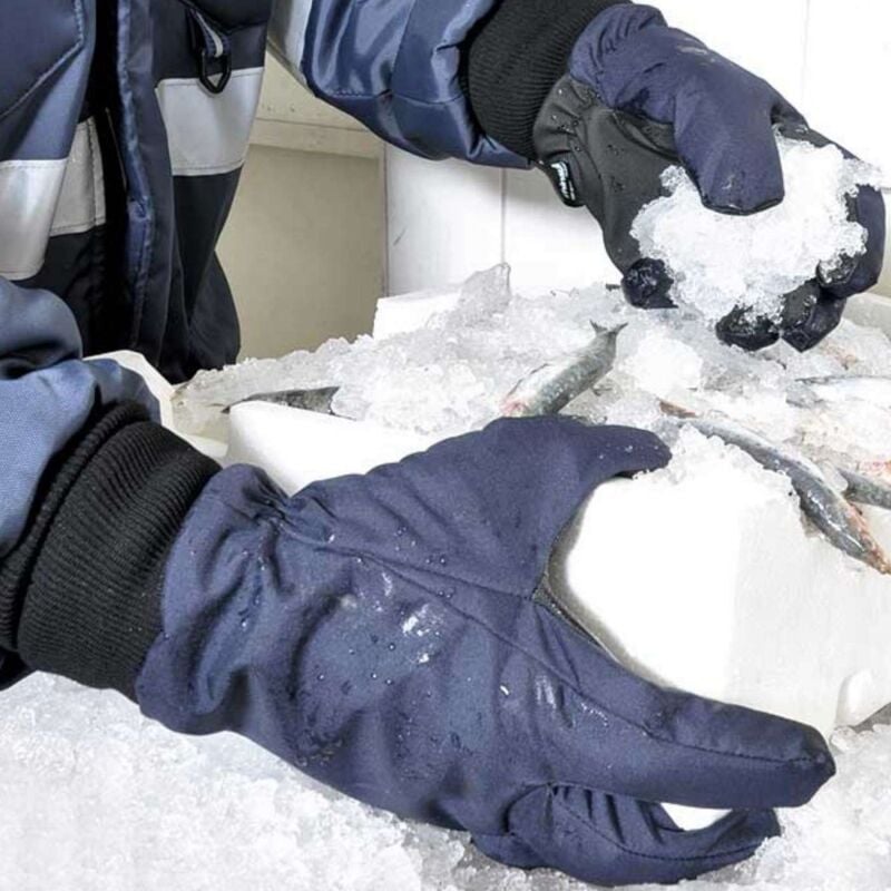 foto del prodotto guanti da cella frigorifera cofra tundra cat ii fino a 30 c blue navy nero 11