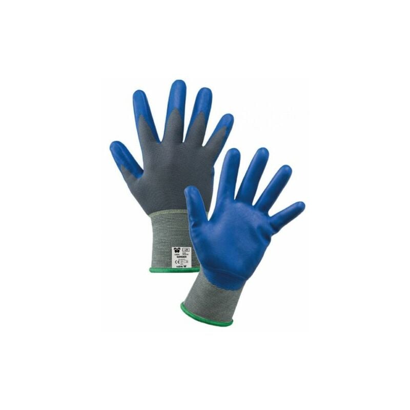 foto del prodotto guanti nylon nitrile ginger p alimenti tg. 8 12 pa