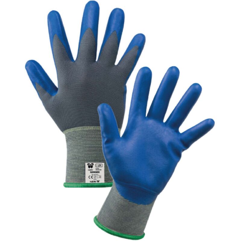 foto del prodotto guanti nylon nitrile ginger per alimenti tg. 9 12 pa
