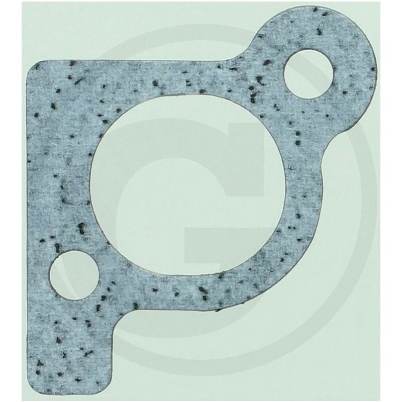 foto del prodotto guarnizione aspirazione originale briggs stratton 806418