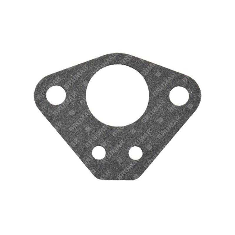 foto del prodotto guarnizione carburatore blx compatibile 054788