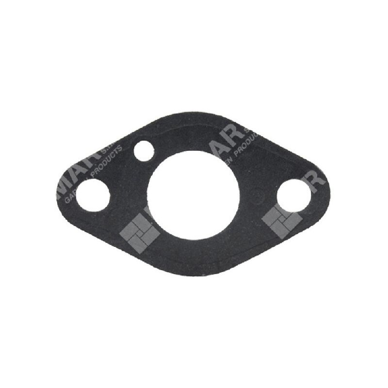 foto del prodotto guarnizione carburatore per motori daye daye e compatibile 023447