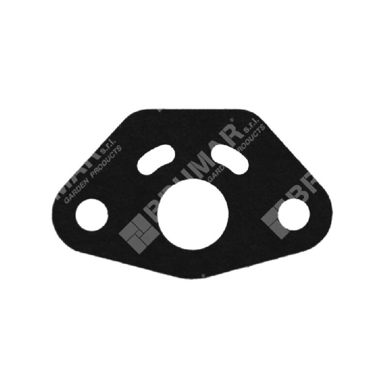 foto del prodotto guarnizione carburatore per multitool progreen 029249