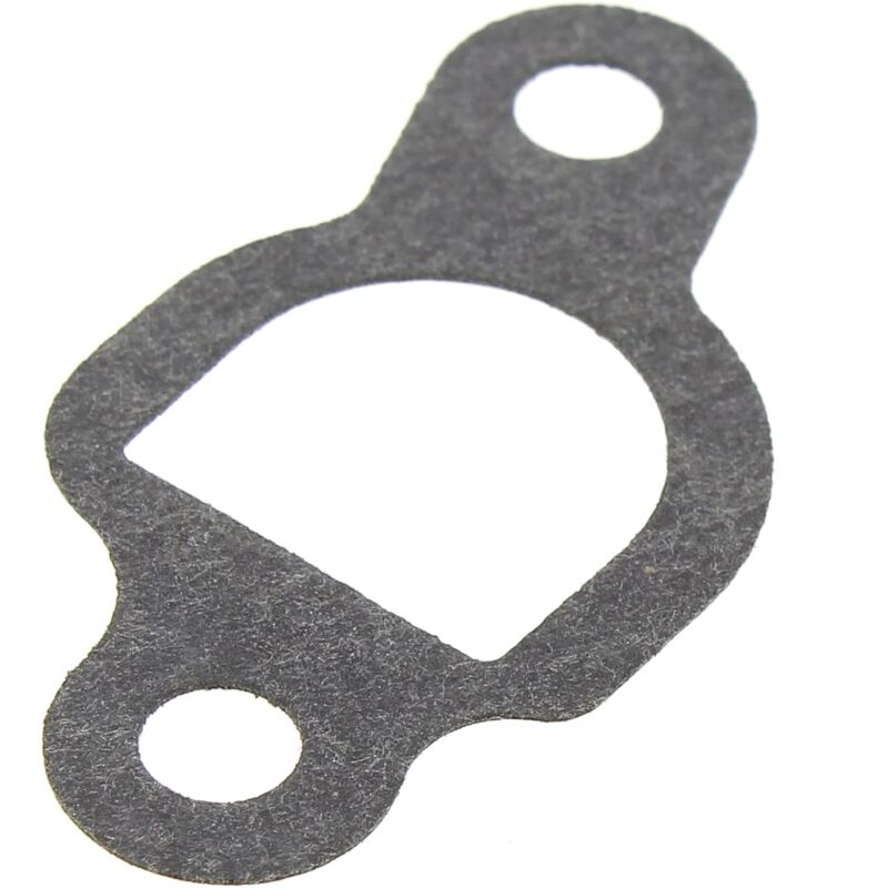 foto del prodotto guarnizione carburatore per tosaerba greatland