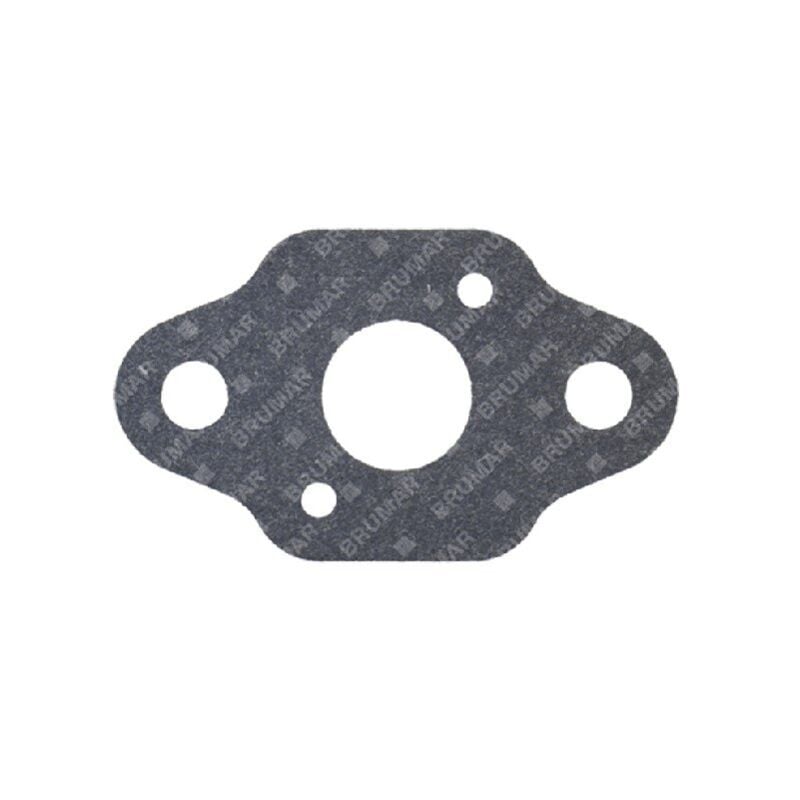 foto del prodotto guarnizione carburatore pg260mp compatibile 057716