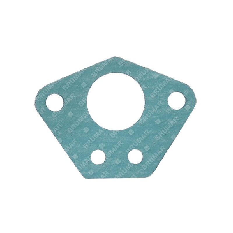 foto del prodotto guarnizione carburatore progreen 054036