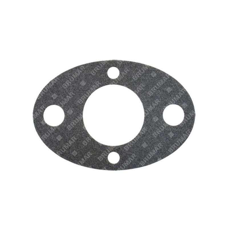 foto del prodotto guarnizione carburatore progreen 054667