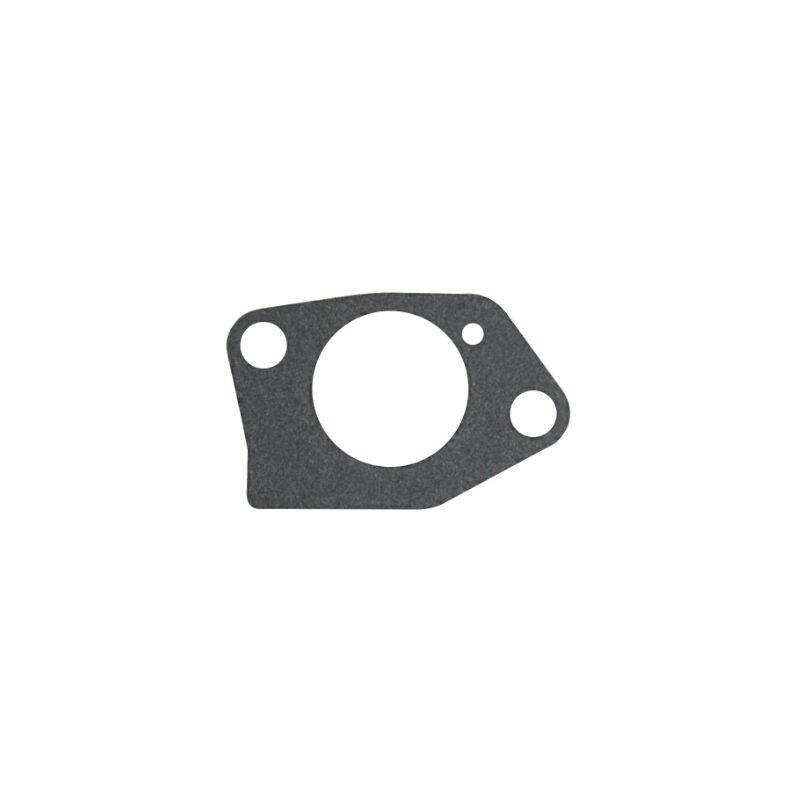 foto del prodotto guarnizione carburatore trattorino tagliaerba originale loncin 170430099 0001