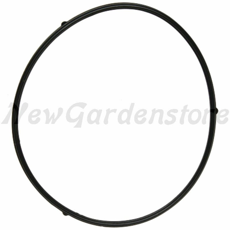 foto del prodotto guarnizione carburatore trattorino tagliaerba originale loncin 380840456 0001