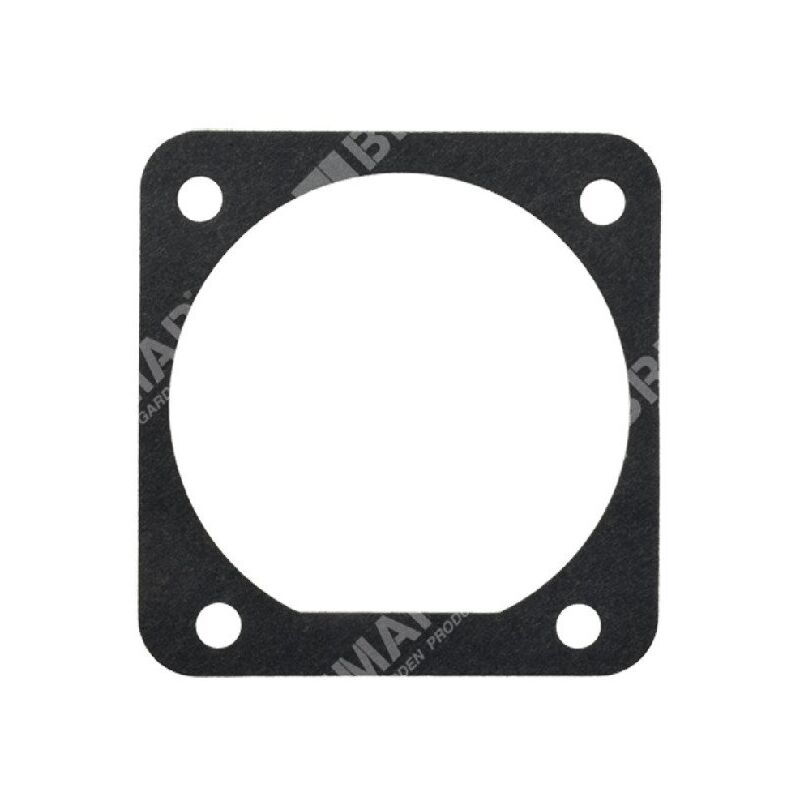 foto del prodotto guarnizione carter motore per decespugliatori e multitool ikra mogatec 73041119 compatibile 042457