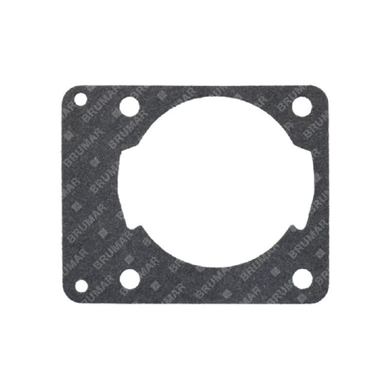 foto del prodotto guarnizione cilindro per motoseghe progreen 054647