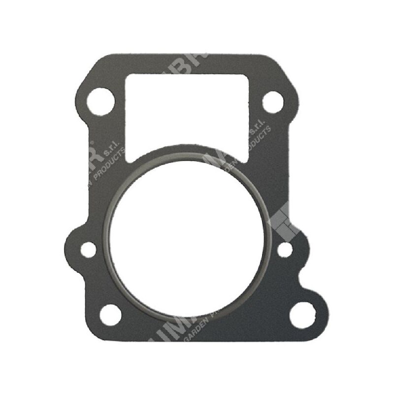 foto del prodotto guarnizione cilindro per rasaerba e motori daye daye e compatibile 027610