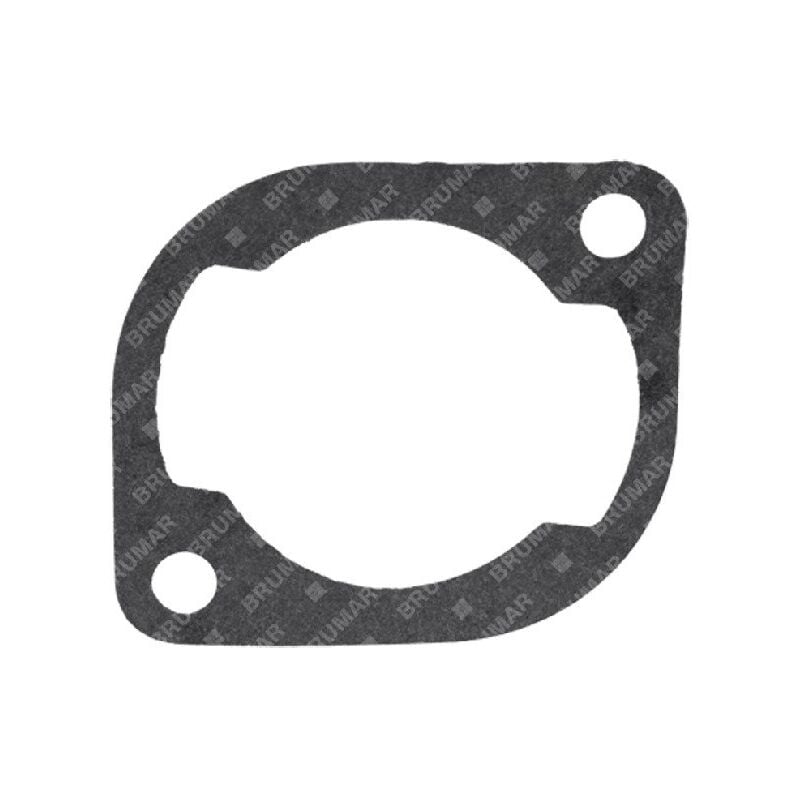 foto del prodotto guarnizione cilindro per tagliasiepi blx compatibile 059034