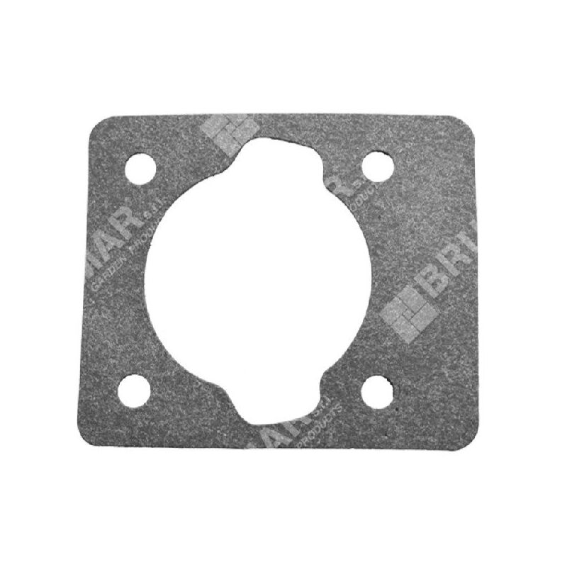 foto del prodotto guarnizione cilindro per tagliasiepi green line compatibile - 038369