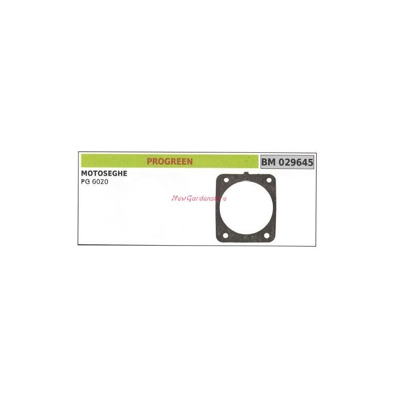 foto del prodotto guarnizione cilindro progreen decespugliatore pg 6020 029645