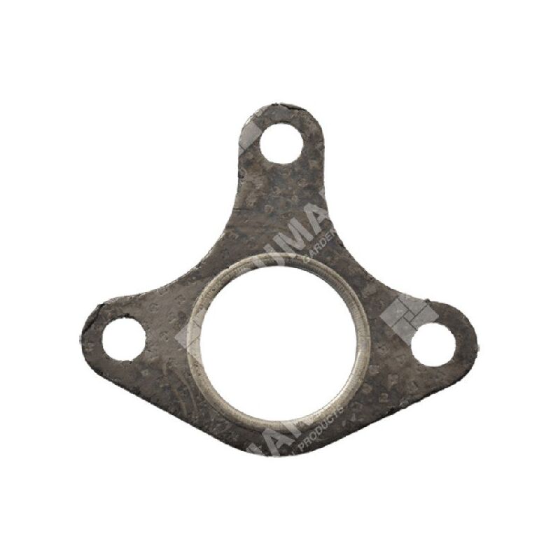 foto del prodotto guarnizione collettore per motopompe ducar 96001 compatibile 047363