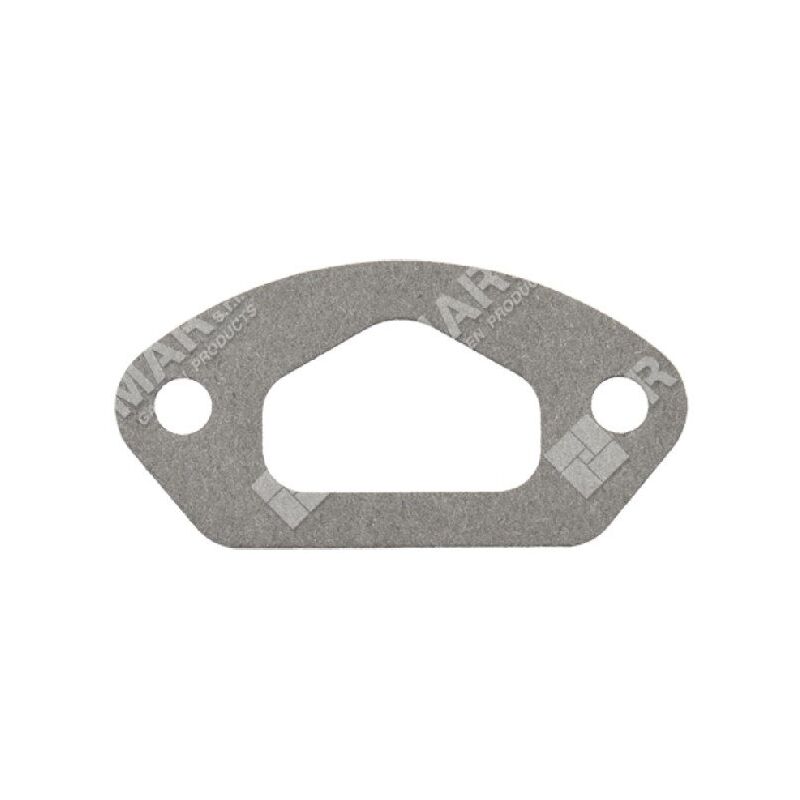 foto del prodotto guarnizione collettore progreen 054832