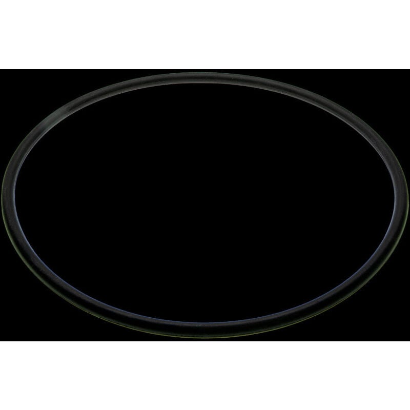 foto del prodotto guarnizione coperchio per filtro coral qp
