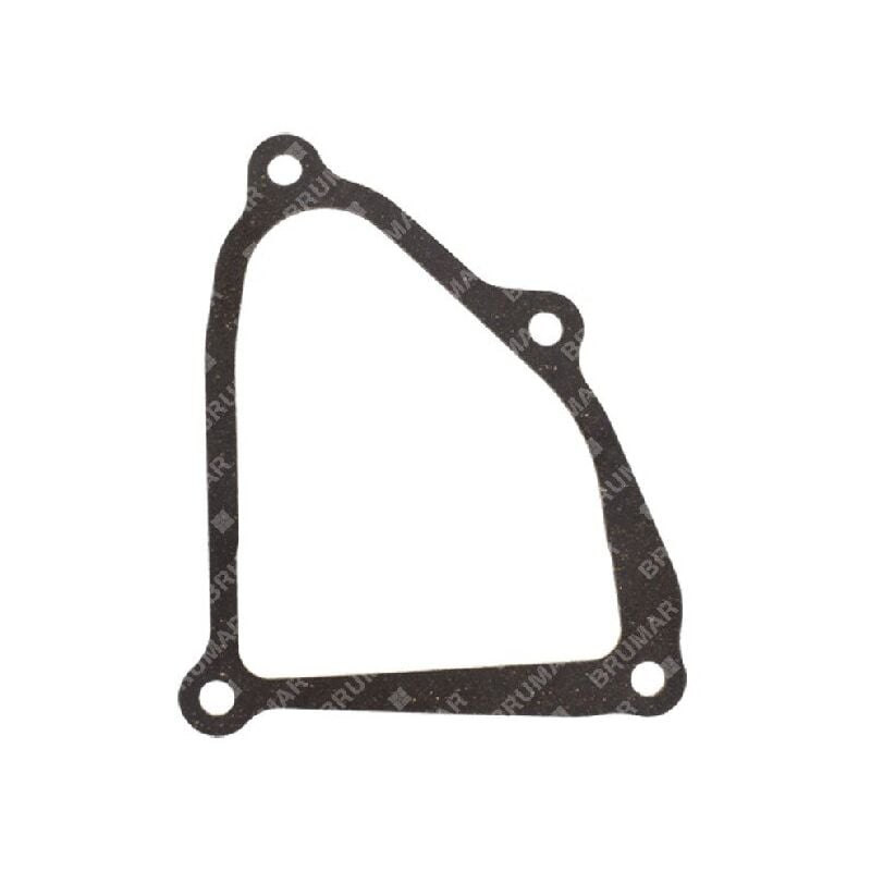 foto del prodotto guarnizione coperchio valvole blx compatibile 054559