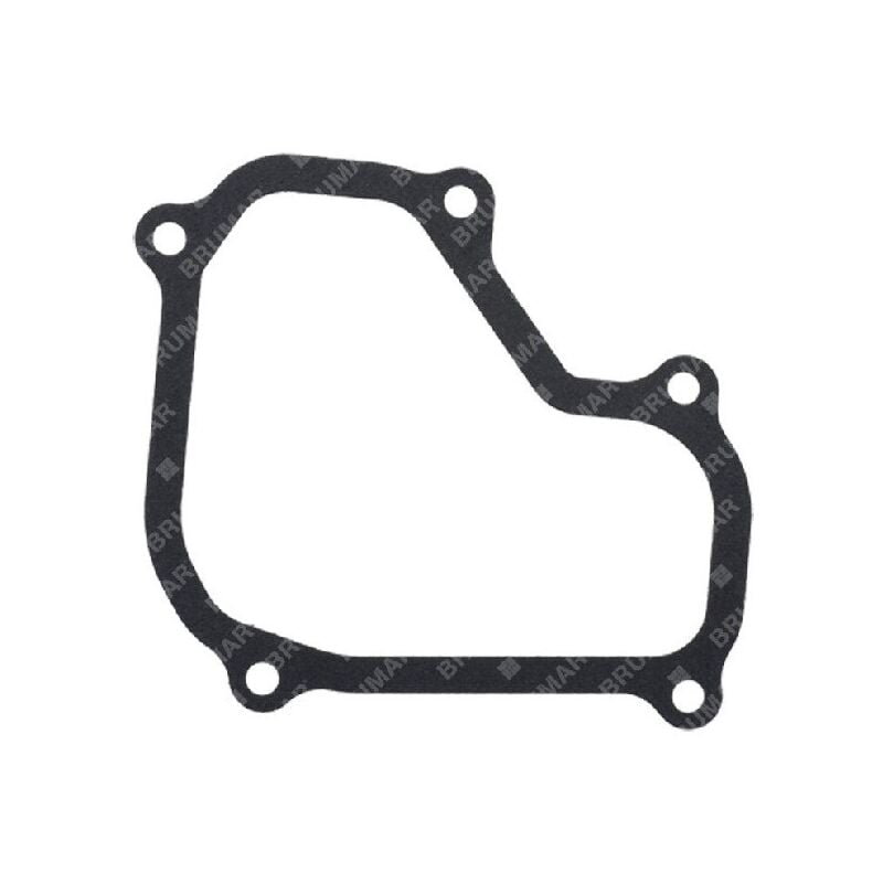 foto del prodotto guarnizione coperchio valvole bx46sq compatibile 058324