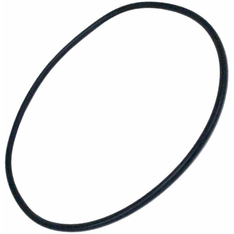 foto del prodotto guarnizione del serbatoio diametro 220 - vari piccoli elettrodomestici - lagostina - 331693