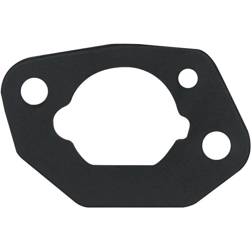 foto del prodotto guarnizione filtro aria motore rasaerba tagliaerba 1p70f loncin 170430133-0001