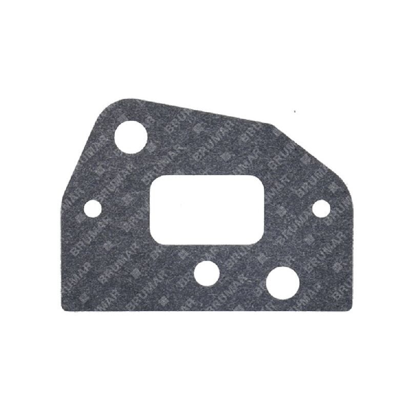 foto del prodotto guarnizione flangia termica bx262l compatibile 057467
