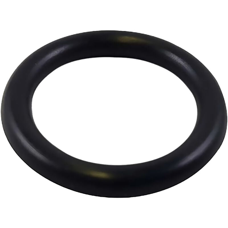 foto del prodotto guarnizione o ring per raccorderia mm 16,90 x 2,70