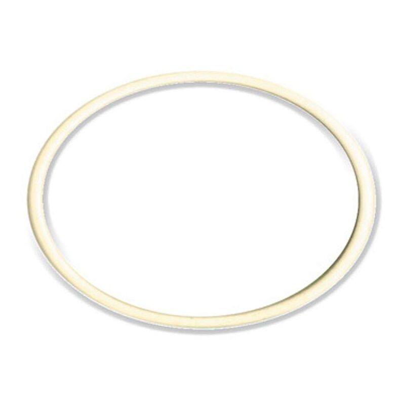 foto del prodotto guarnizione per filtro depuratore seagull ricambio originale its todini 10.54