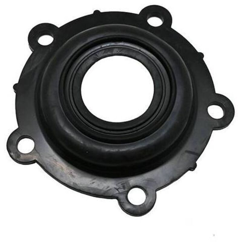 foto del prodotto guarnizione resistenza per scaldabagno aton a flangia -aton