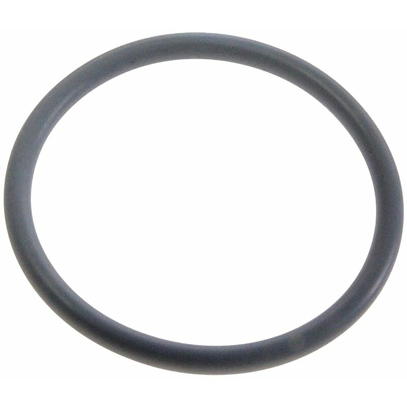 foto del prodotto guarnizione tappo 31 m m lavastoviglie brandt 304234