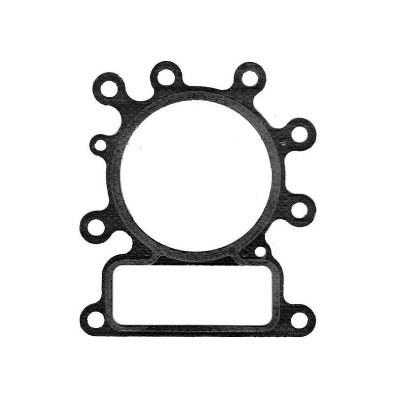 foto del prodotto guarnizione testa cilindro 273280s , 272614 per motore tosaerba briggs stratton