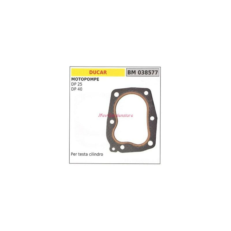 foto del prodotto guarnizione testata ducar motopompa dp 25 40 038577