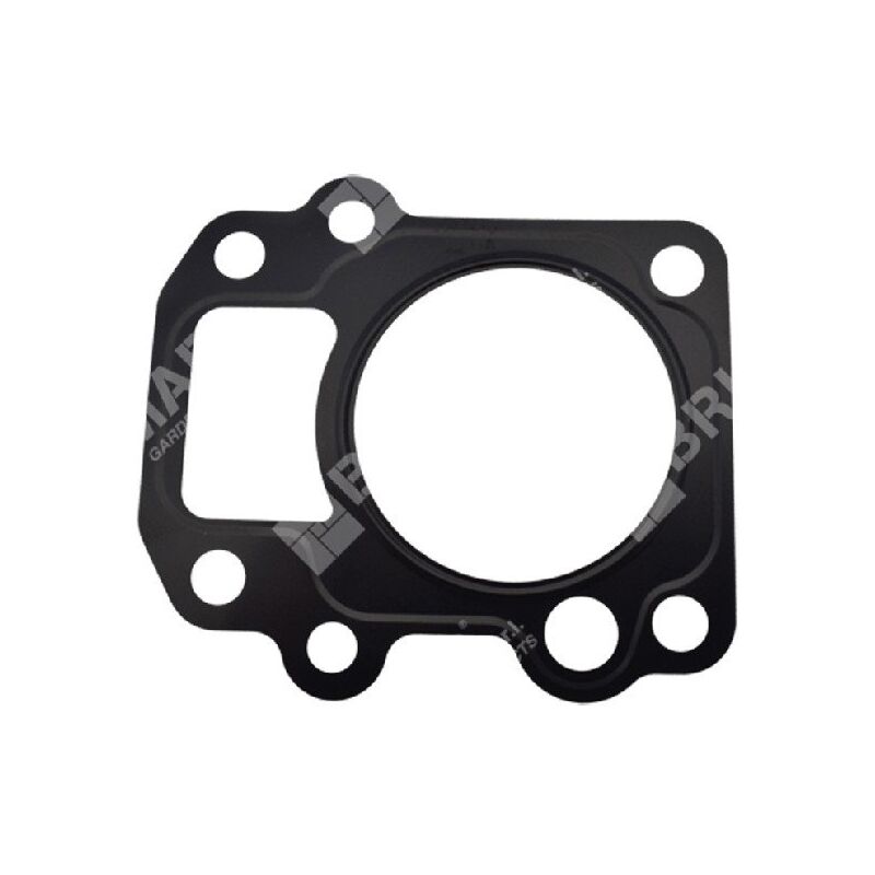 foto del prodotto guarnizione testata per motopompe ducar 96024 compatibile 049589