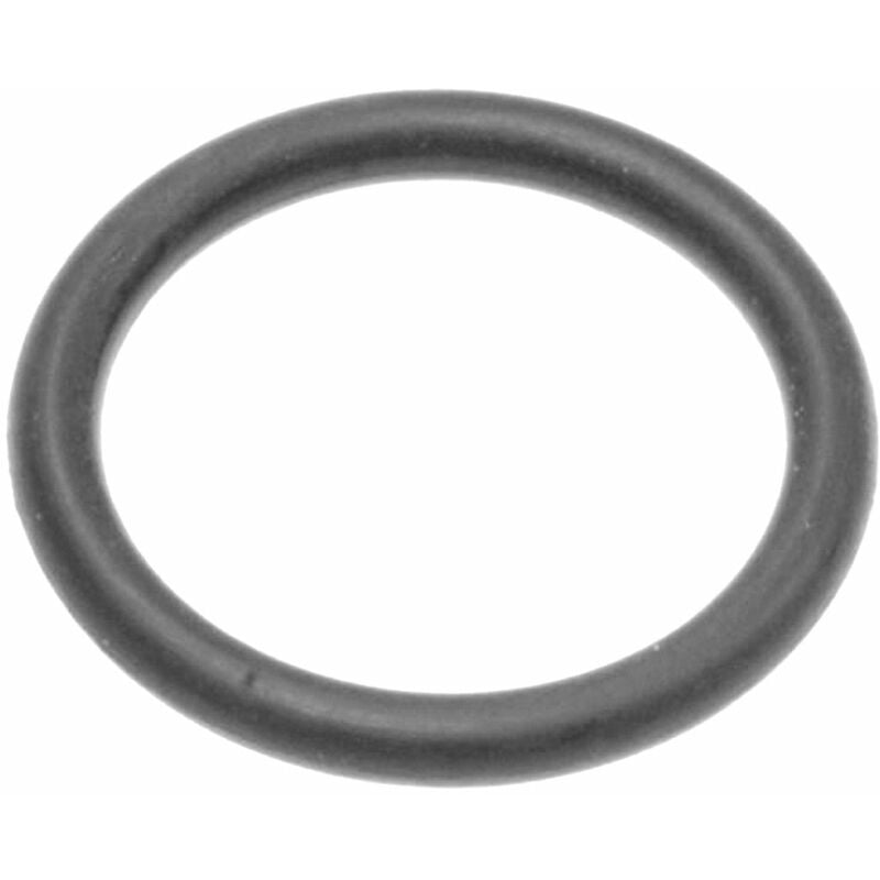foto del prodotto guarnizione toroidale valvola 17.3 x 2,4 m m lavastoviglie smeg 304249
