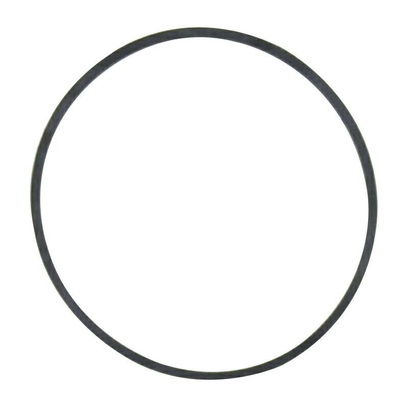 foto del prodotto guarnizione vaschetta carburatore nikki trattorino rasaerba briggs 698538