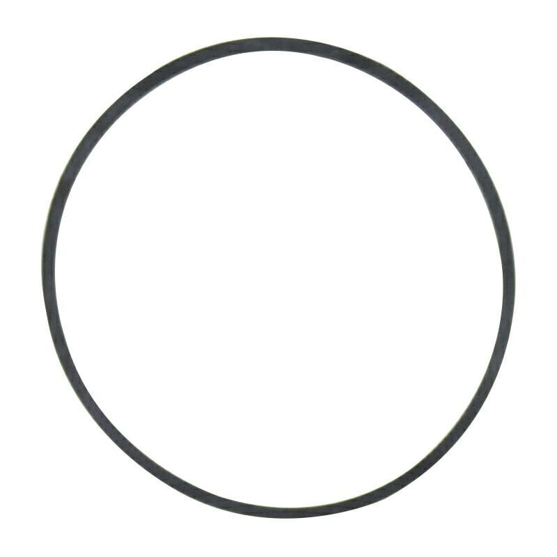 foto del prodotto guarnizione vaschetta carburatore trattorino rasaerba briggs stratton 796610