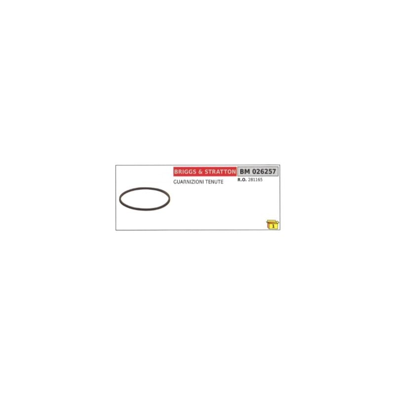foto del prodotto guarnizioni tenute briggs stratton 281165