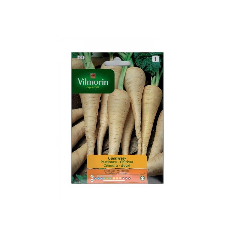 foto del prodotto guernesey vilmorin 7g chiriv a seeds