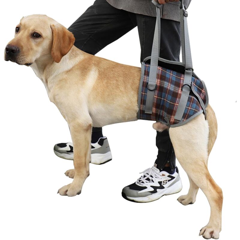 foto del prodotto guinzaglio di sostegno per cani, zampe posteriori per animali domestici, sollevamento regolabile, cinghia di recupero per cani, riabilitazione,
