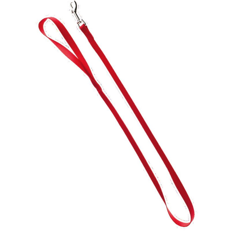 foto del prodotto guinzaglio in nylon con moschettone per cani 2,5 x 120 cm rosso
