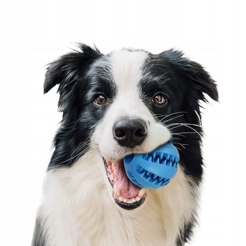 foto del prodotto guinzaglio per cane corda forte corda riflettente spessa 3 m