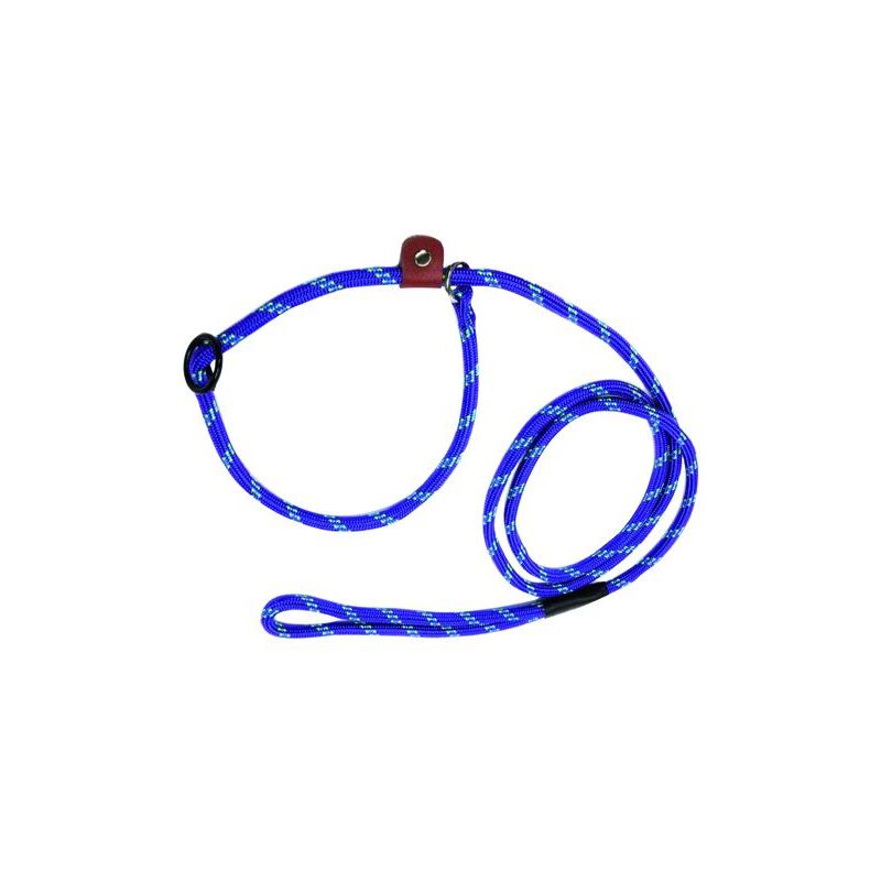 foto del prodotto guinzaglio per cani nylon blinky c cappio 1cm sez 150 cm