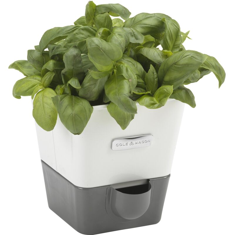 foto del prodotto h105249 burwell vaso autoirrigante per erbe aromatiche per interni singolo, bianco, grigio, con serbatoio dell acqua, perfetto per davanzali e